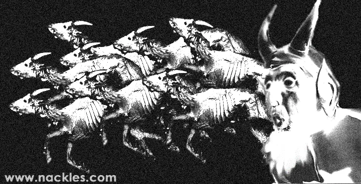 Nackles and His Dead White Goats